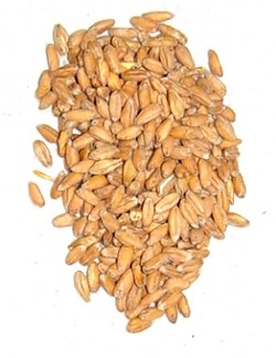 1kg, Gerstendiastasemalz