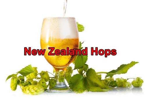 Hopfenbier-New-Zealand-Hops-2